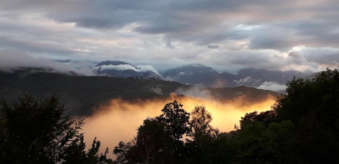 Photo of Others in Biert