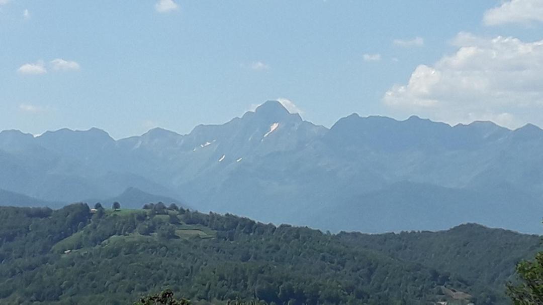 Photo of Others in Biert