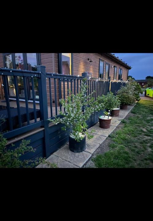 Photo of Others in Wilberfoss