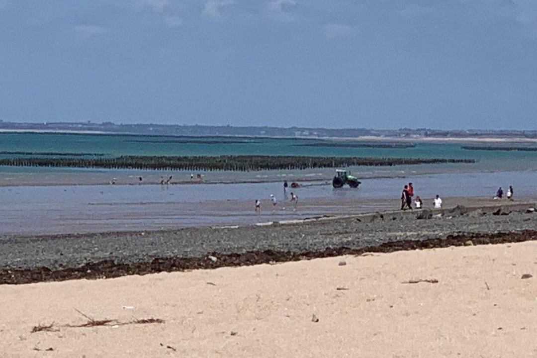 Photo of Others in Donville-les-Bains