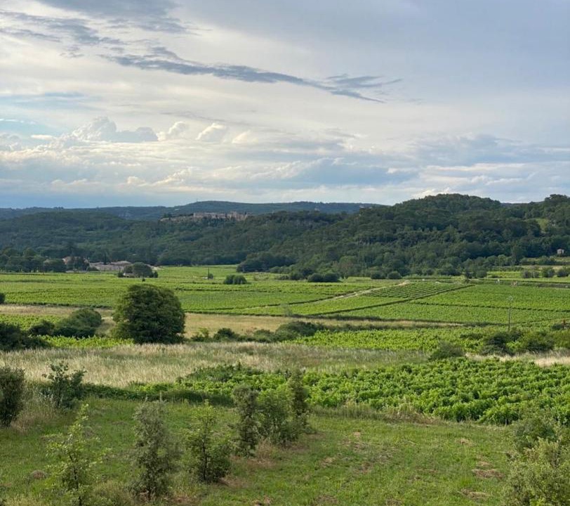 Photo of Others in Cornillon