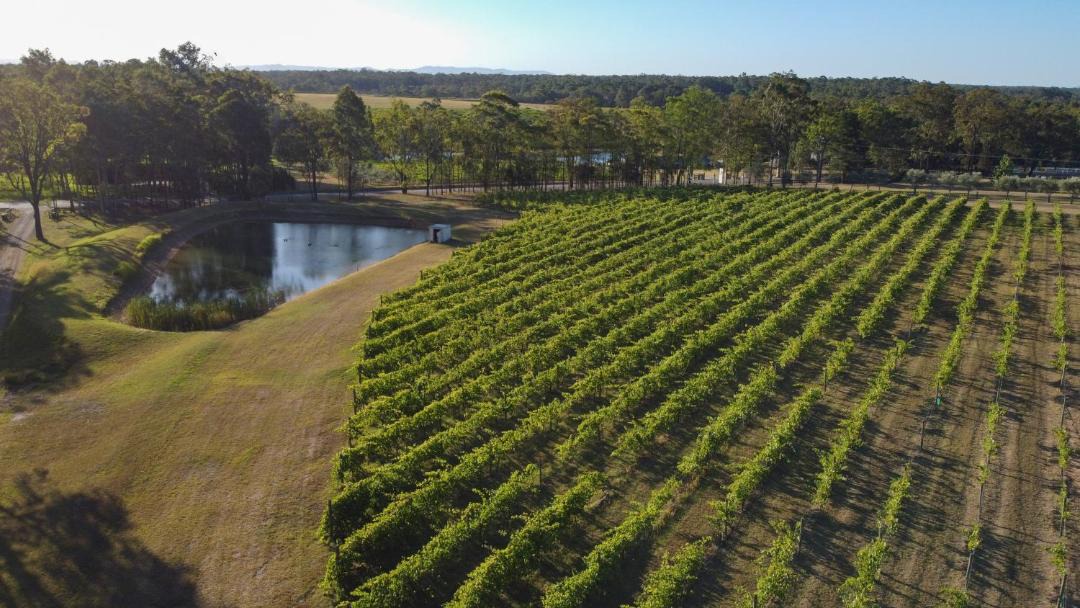 Photo of Others in Pokolbin