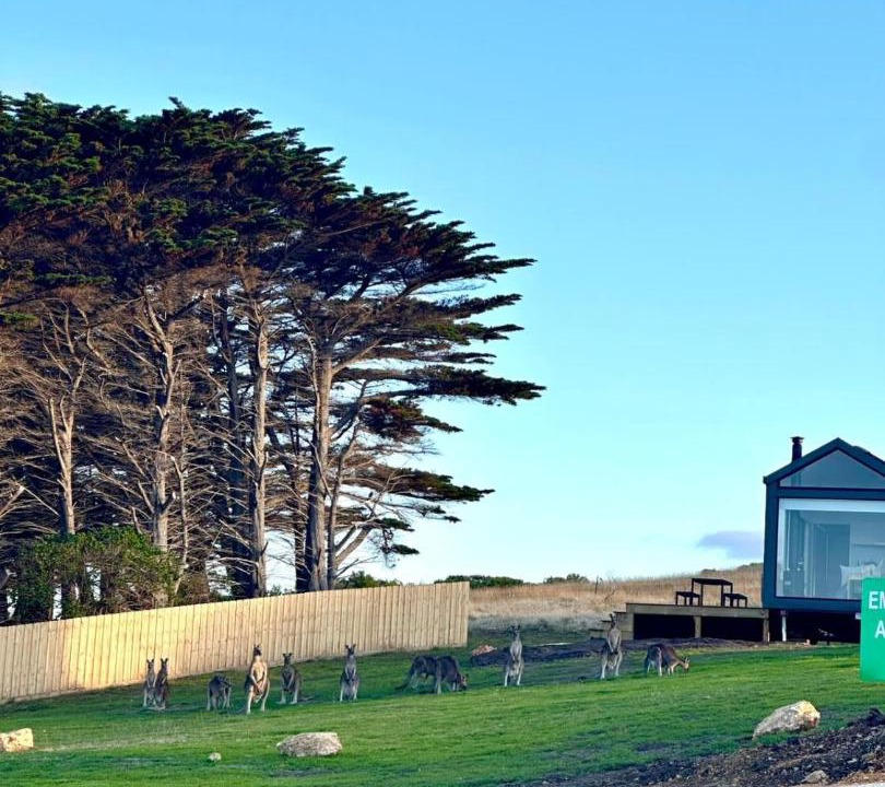 Photo of Others in Cape Bridgewater