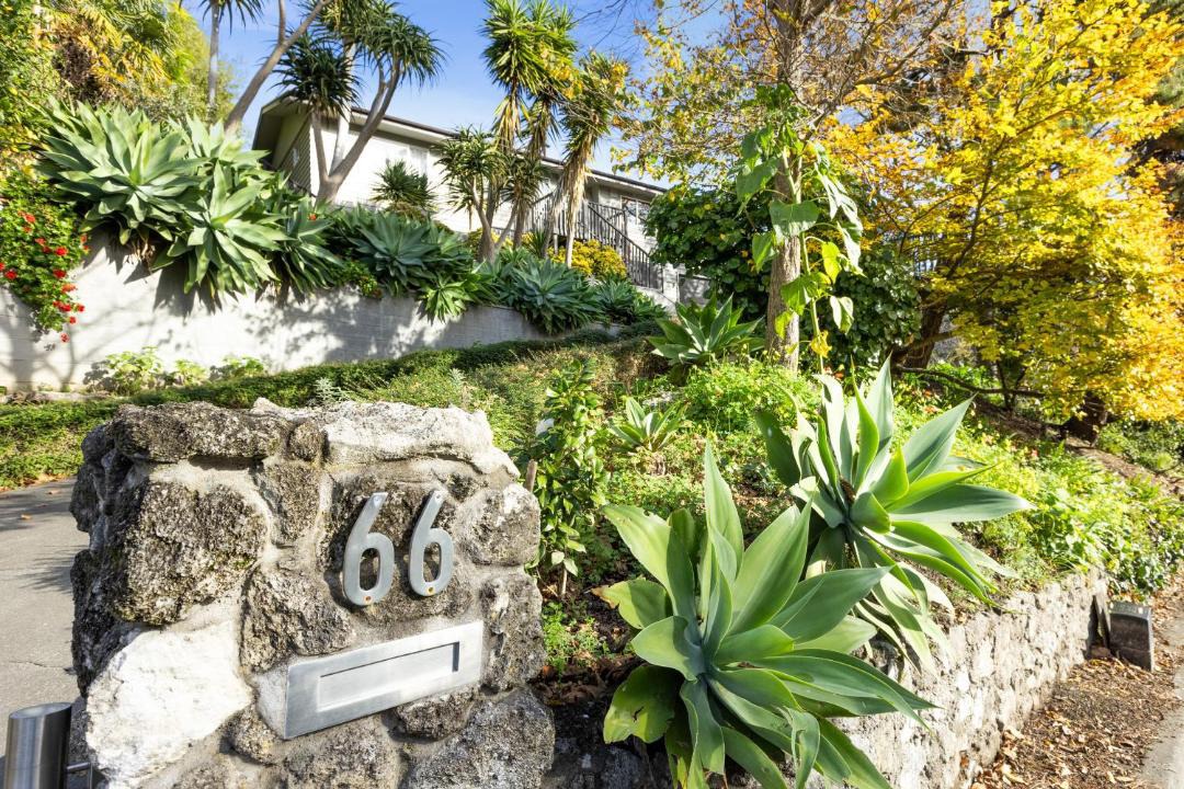 Photo of Others in Bluff Hill