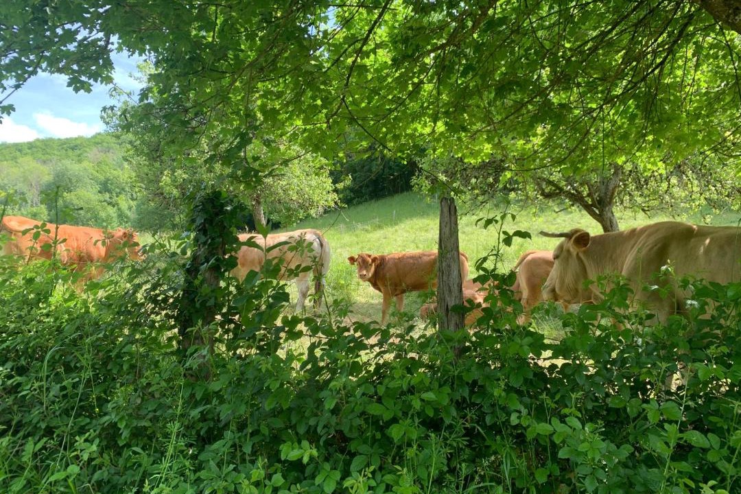 Photo of Others in Rignac