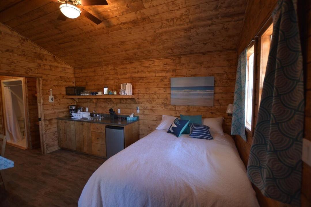 Photo of Others in Rocky Harbour