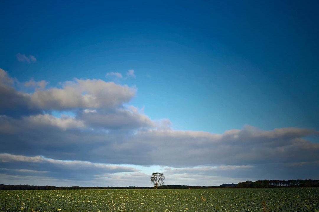 Photo of Others in East Linton