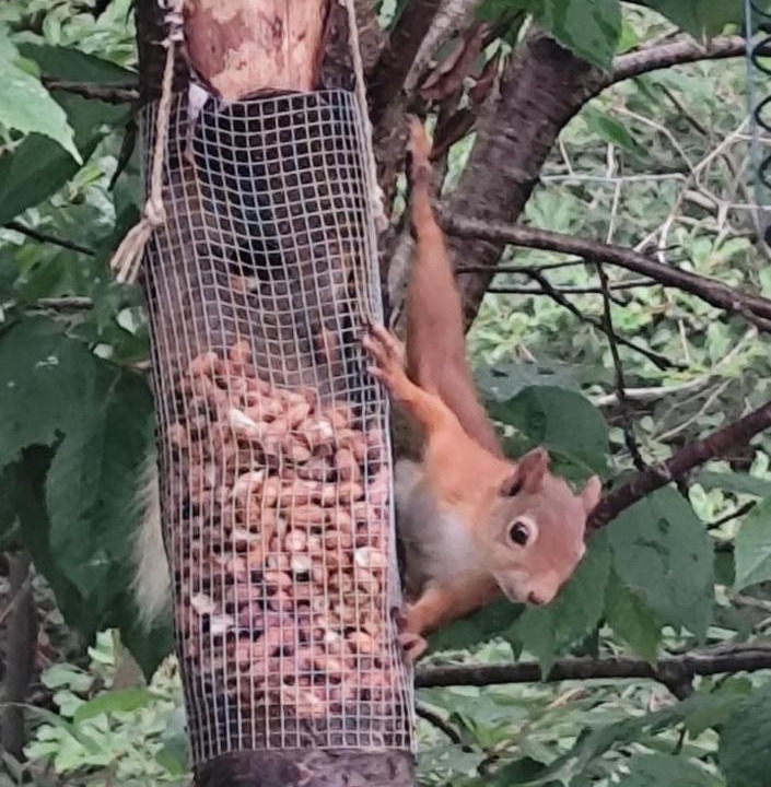 Photo of Others in Invergarry
