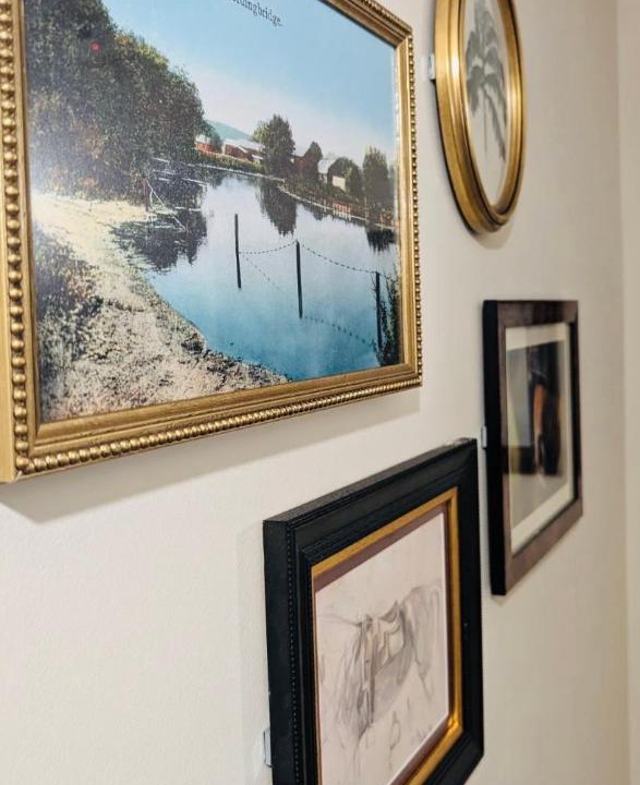 Photo of Others in New Forest District