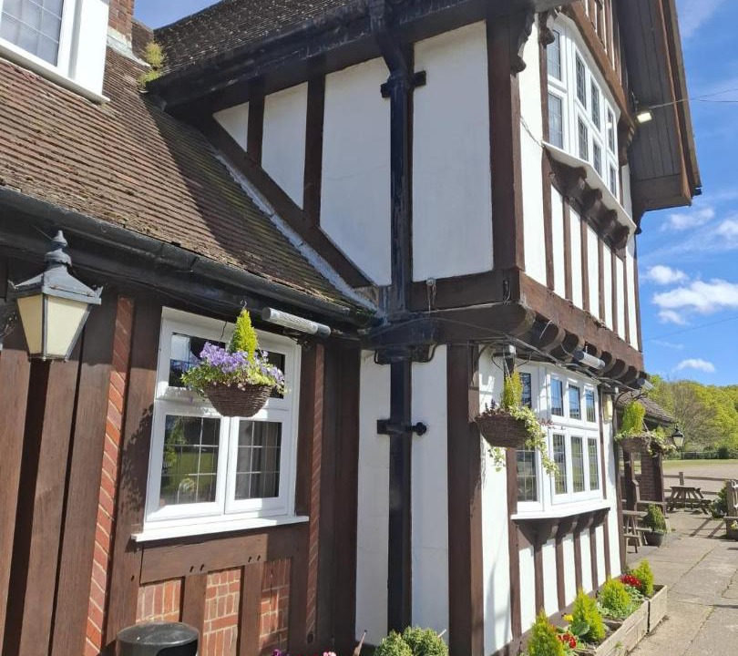 Photo of Others in New Forest District