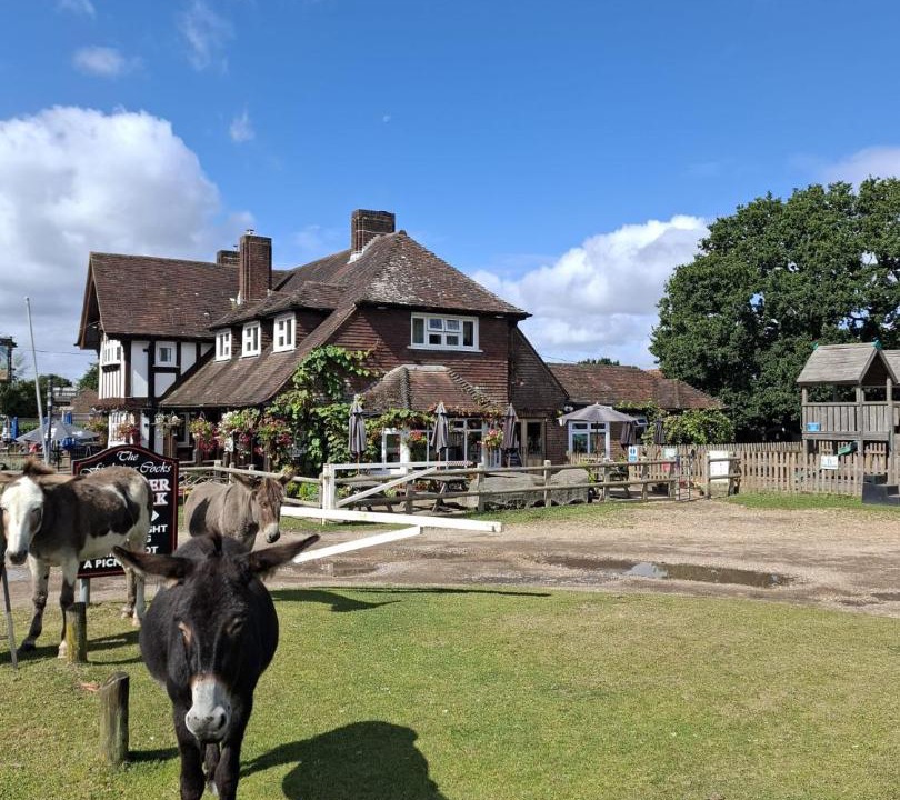 Photo of Others in New Forest District