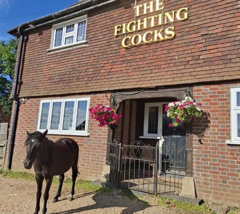 Photo of Others in New Forest District