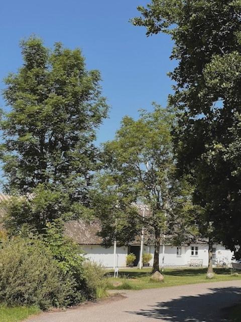 Photo of Others in Holloselund