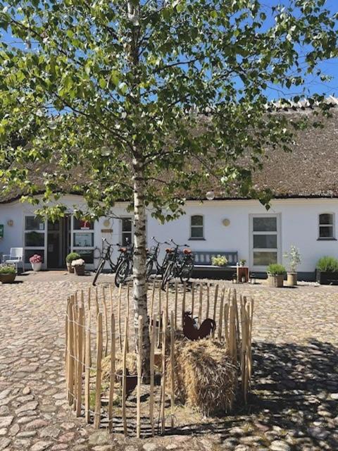 Photo of Others in Holloselund