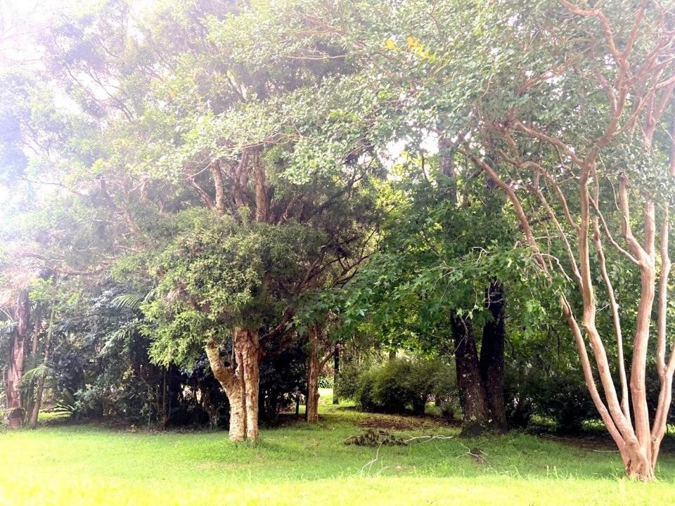 Photo of Outdoor in North Tamborine