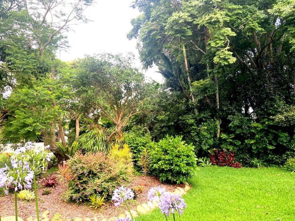 Photo of Others in North Tamborine