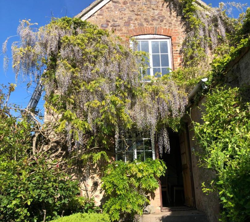 Photo of Others in Over Stowey