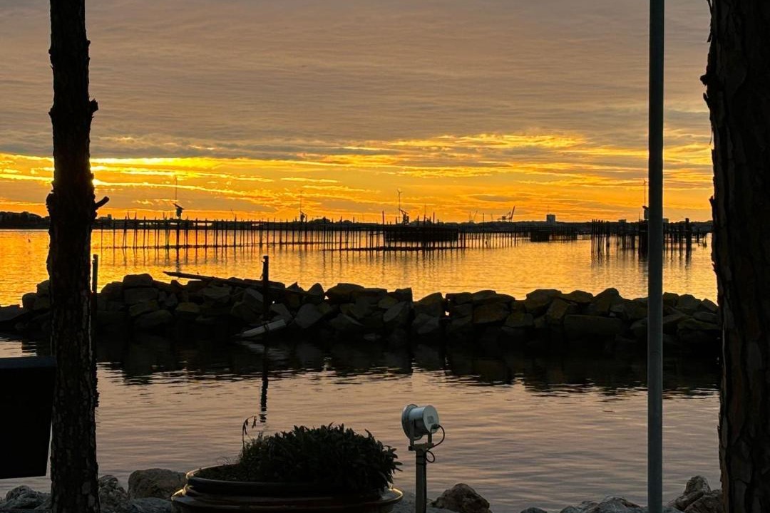 Photo of Others in Bouzigues