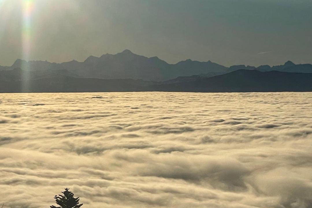Photo of Others in Saint-Cergue