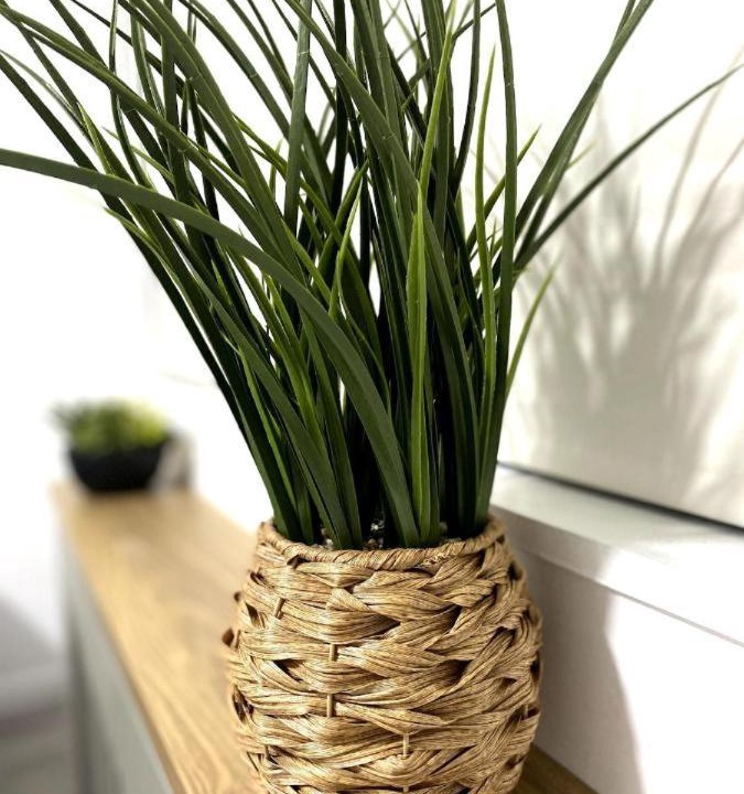 Photo of Others in Milton Keynes