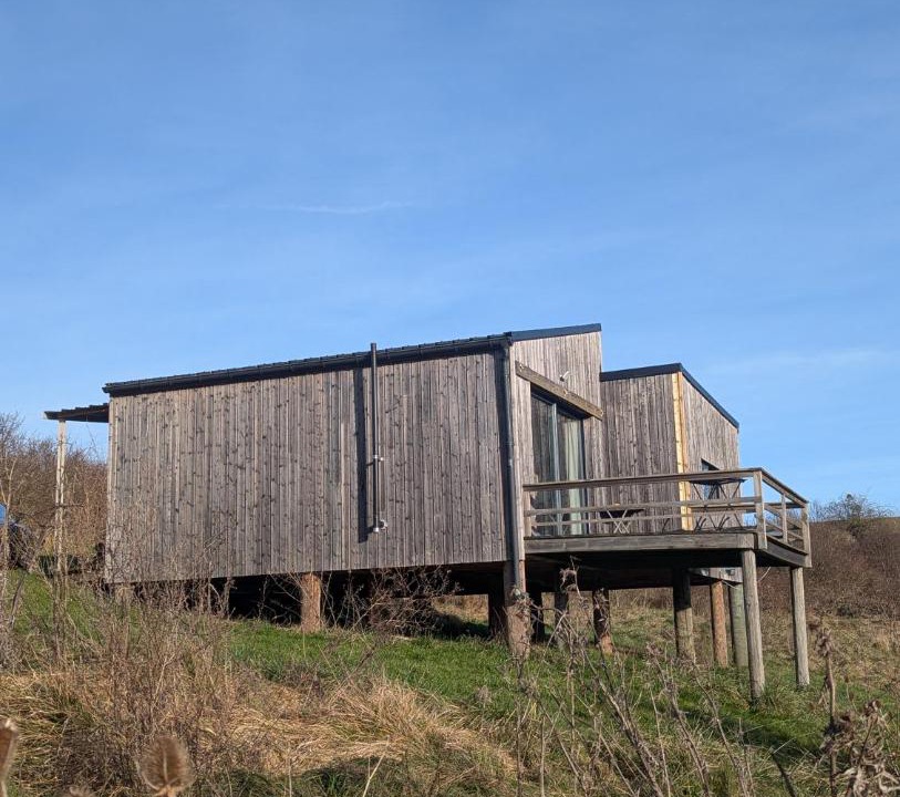 Photo of Others in Salives