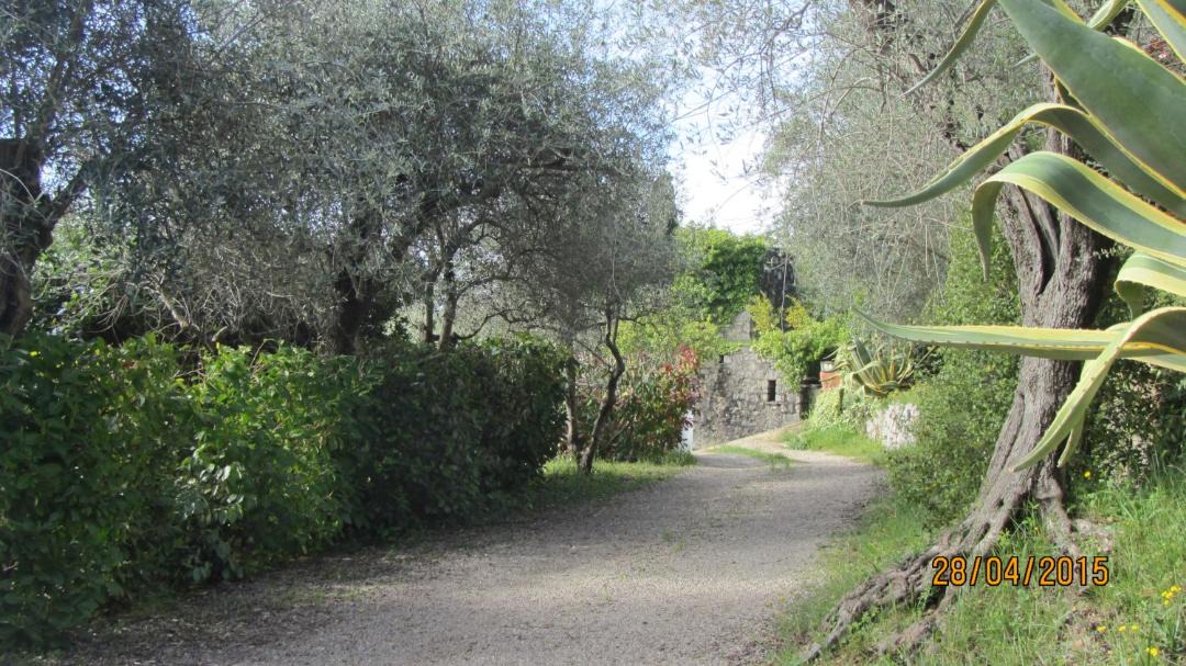 Photo of Others in Le Tignet