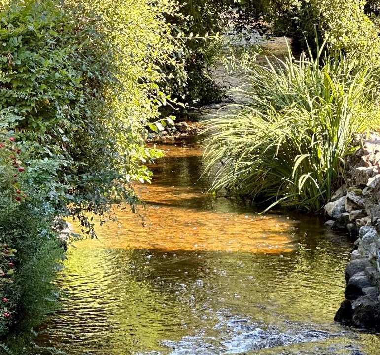 Photo of Others in Berneuil