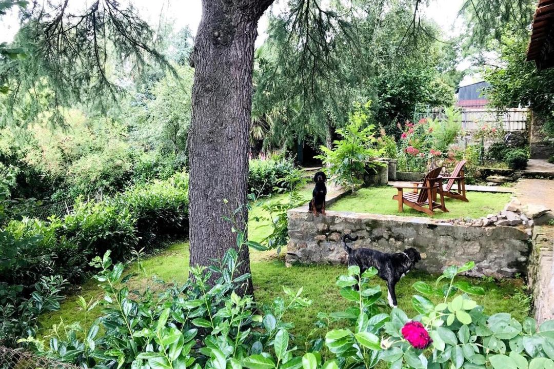 Photo of Others in La Boissiere-de-Montaigu