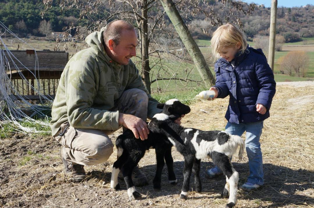 Photo of Others in Forcalquier