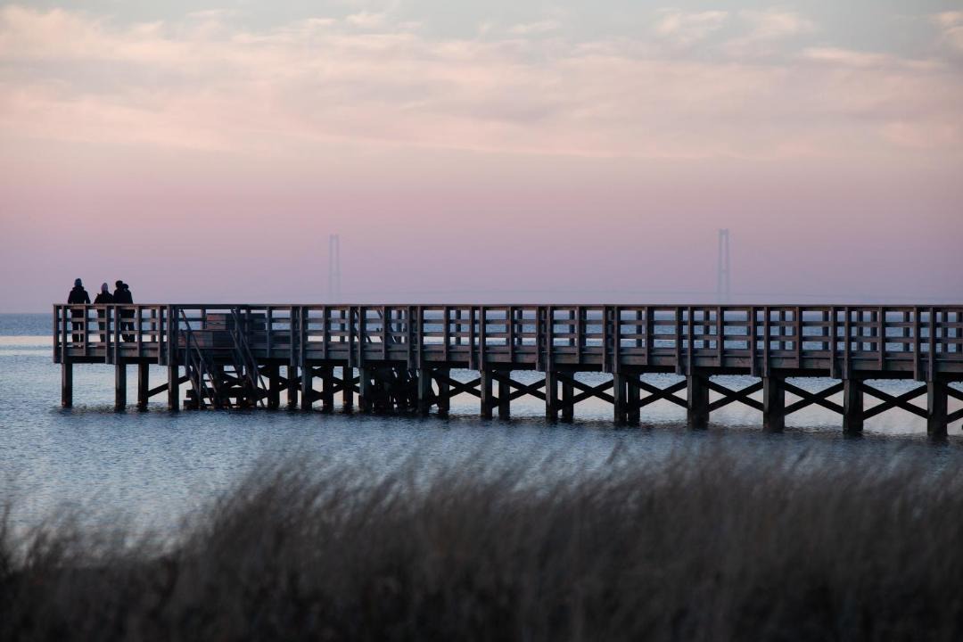 Photo of Others in Sklskr