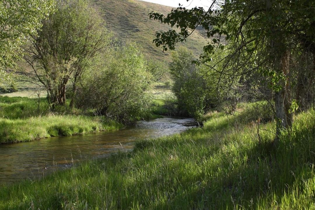 Photo of Others in Darby