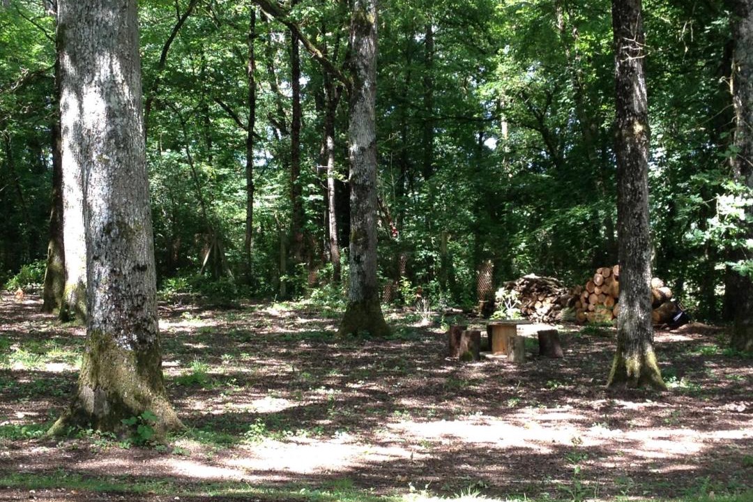 Photo of Others in Le Vieil-Bauge