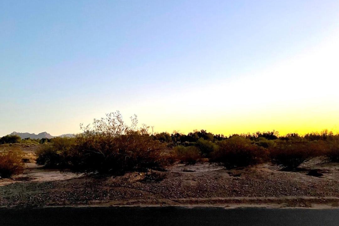 Photo of Others in Marana