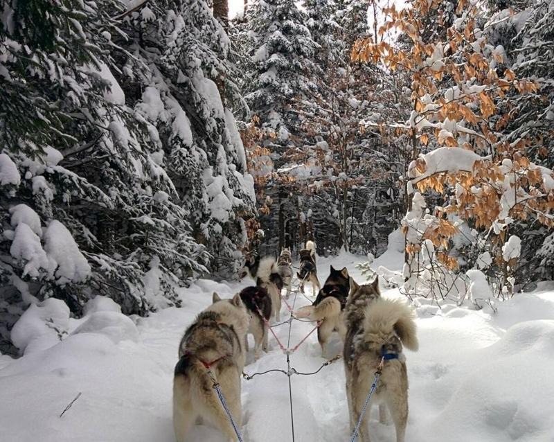 Photo of Others in Notre-Dame-Des-Bois