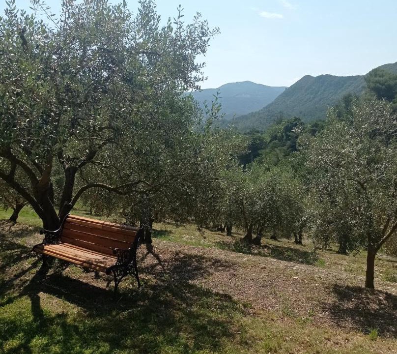 Photo of Others in Aubres