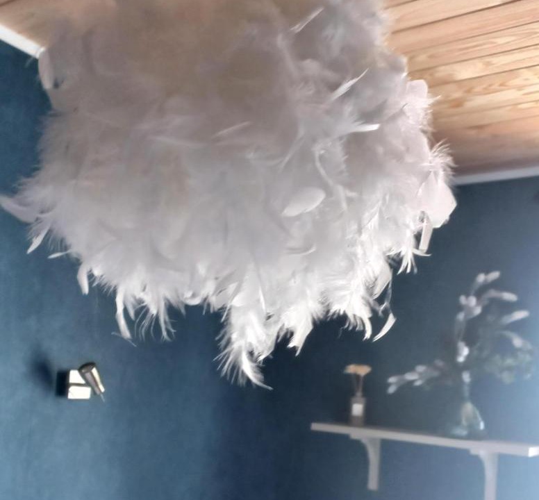 Photo of Others in Pleaux