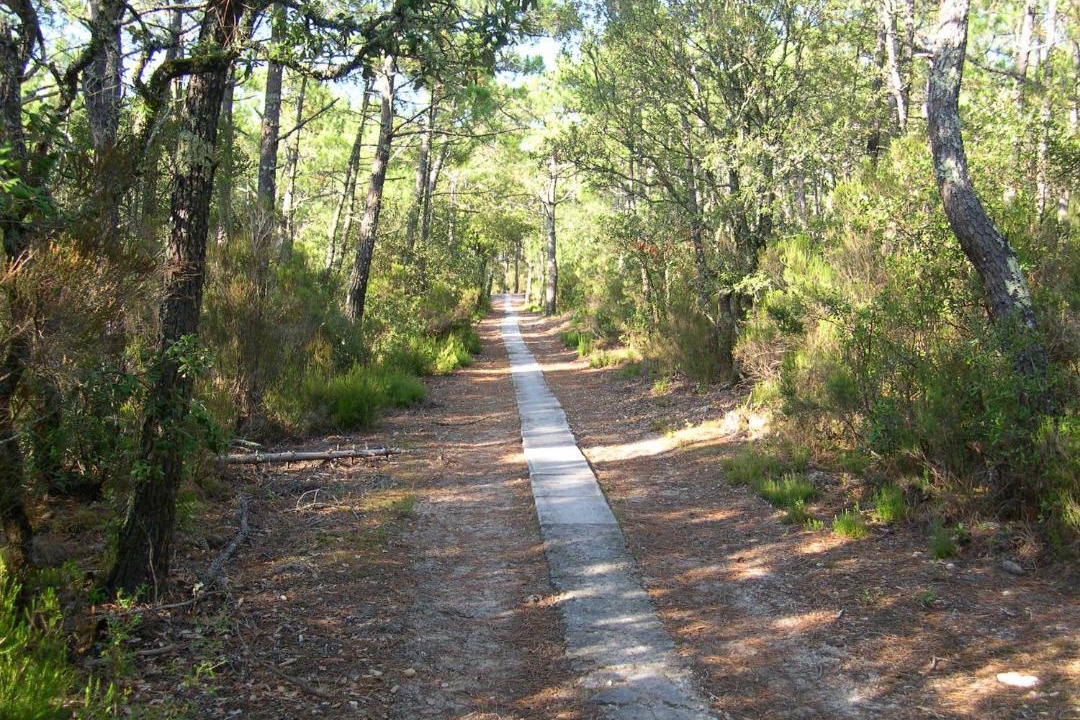 Photo of Others in Hourtin-Plage