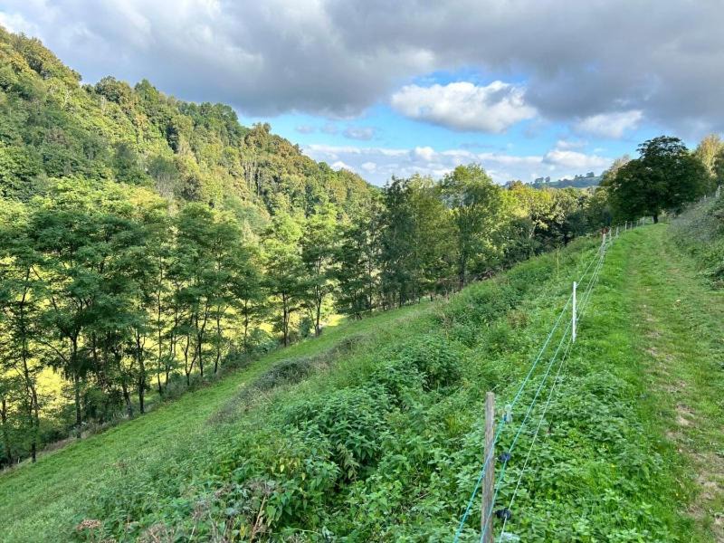 Photo of Others in Gez-ez-Angles