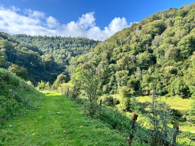 Photo of Others in Gez-ez-Angles