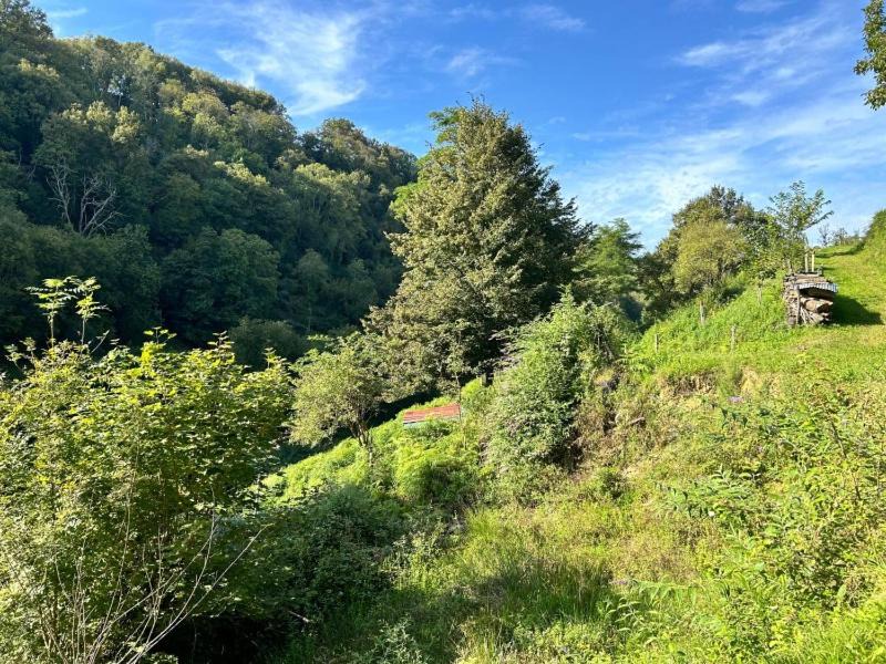 Photo of Others in Gez-ez-Angles