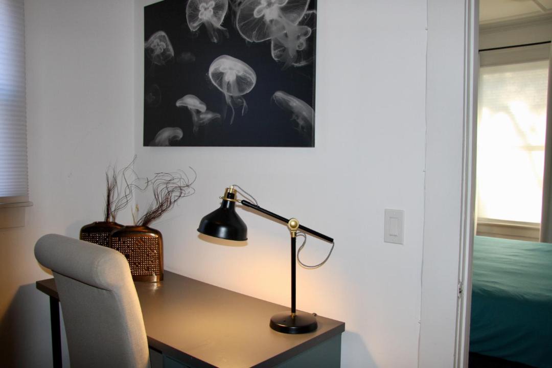 Photo of Others in Mill River