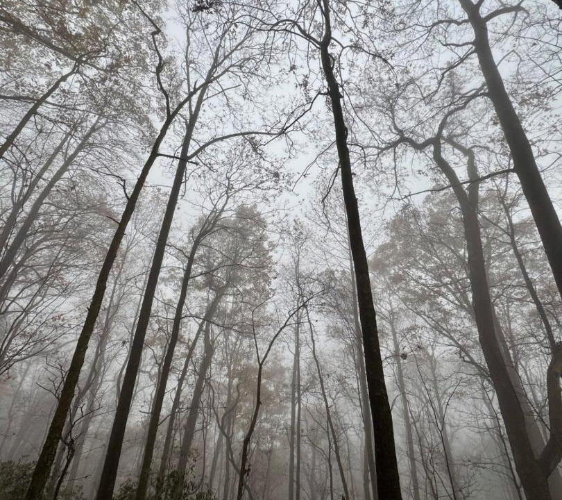 Photo of Others in Morganton