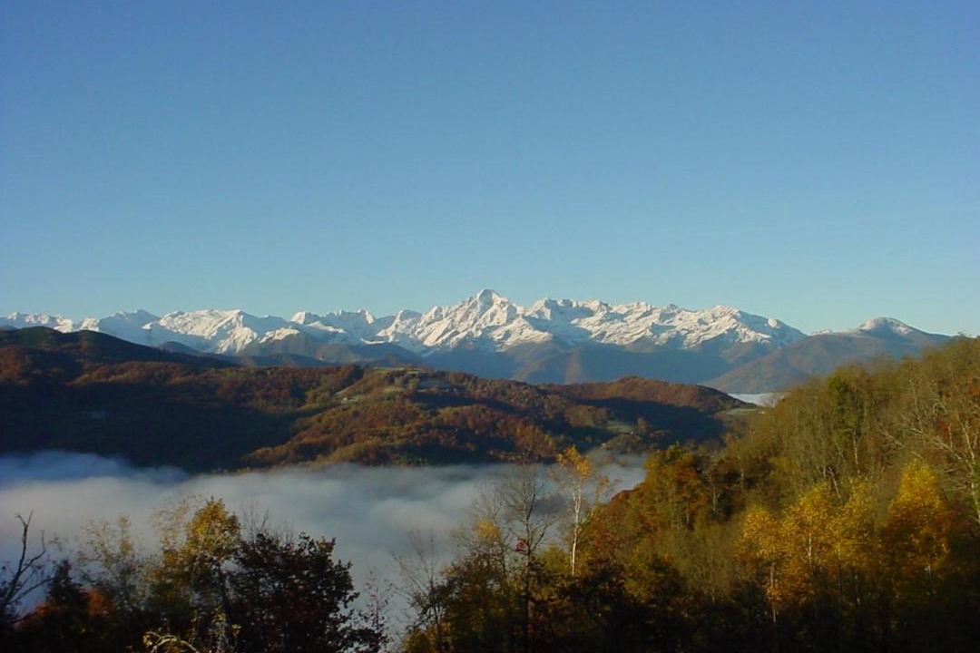 Photo of Others in Biert