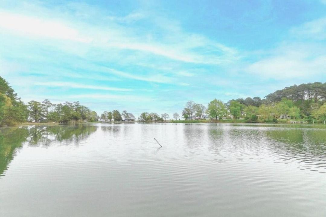 Photo of Others in Point Lookout