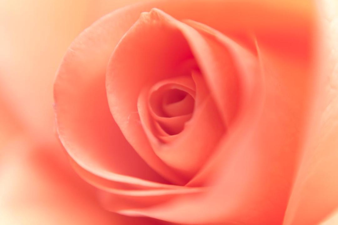 Photo of Others in Litton Mill