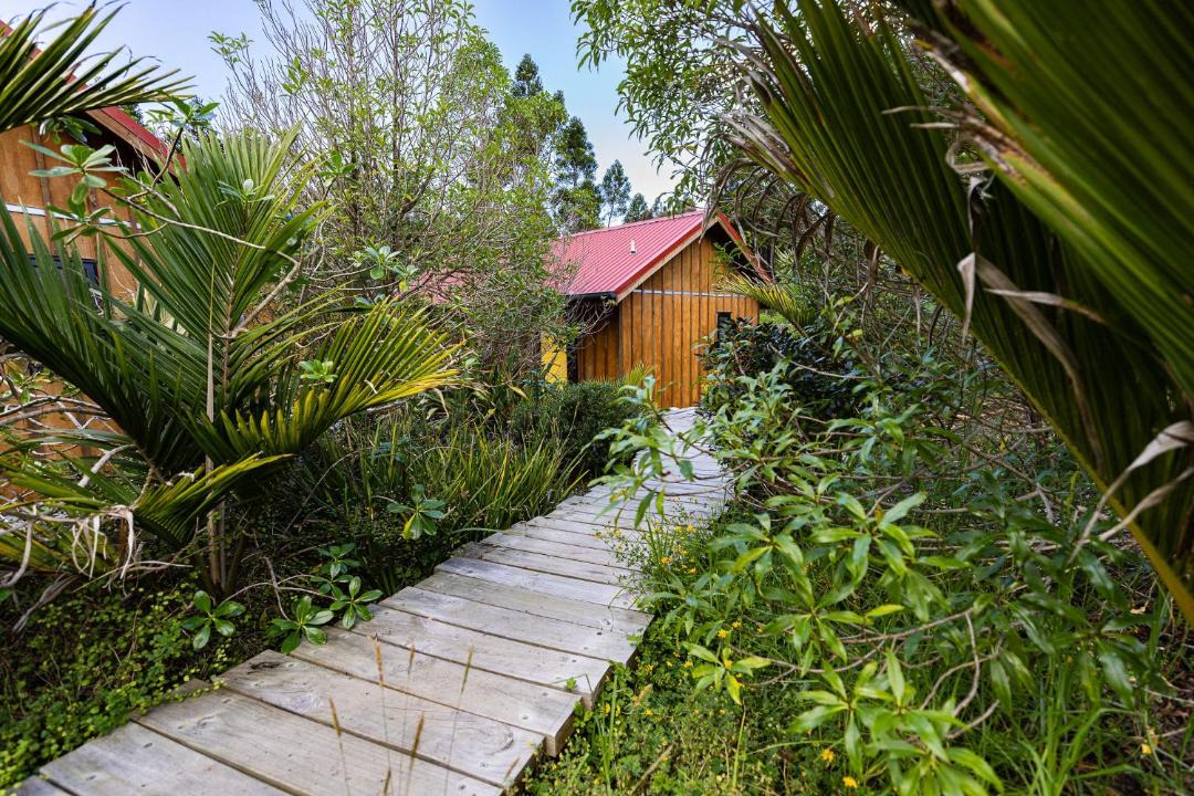 Photo of Others in Mangawhai