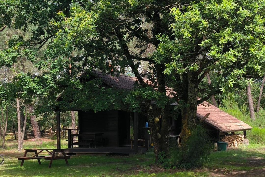 Photo of Others in Vignoux-sur-Barangeon