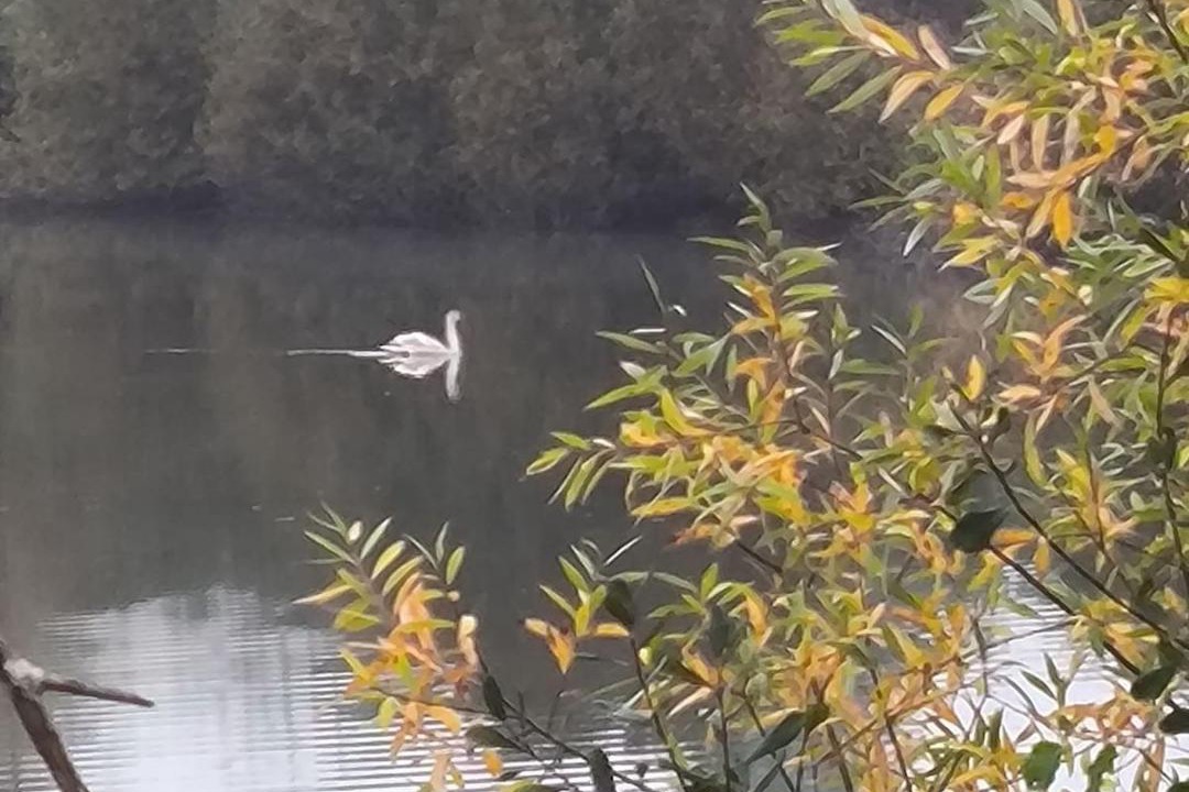 Photo of Others in Vignoux-sur-Barangeon