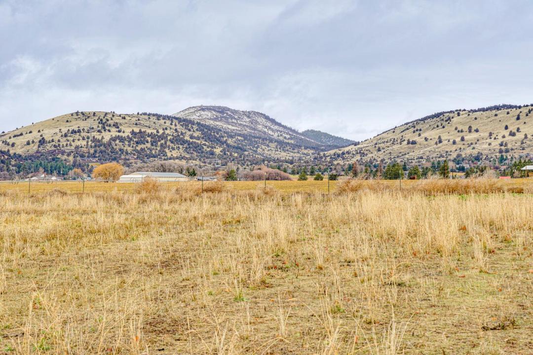 Photo of Others in Dairy