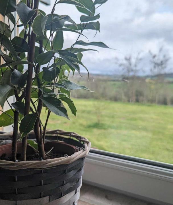 Photo of Patio Balcony in Ardenne Metropole